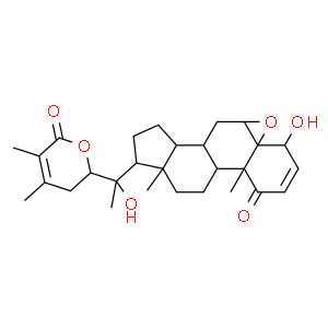 醉茄內(nèi)酯|南非醉茄提取物