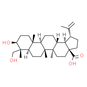 23-羥基白樺酸